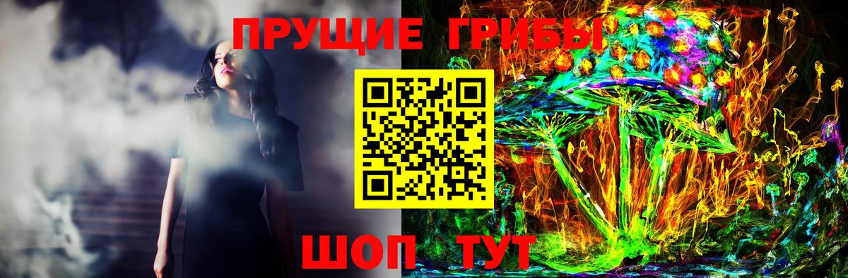 купить  сайты  Псилоцибиновые грибы прущие грибы  Вход с VPN  Хасавюрт  Галлюциногенные грибы ЛСД 